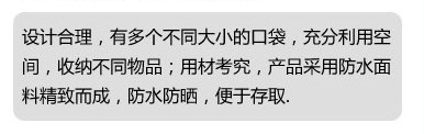 法拉利多功能汽車椅背帶