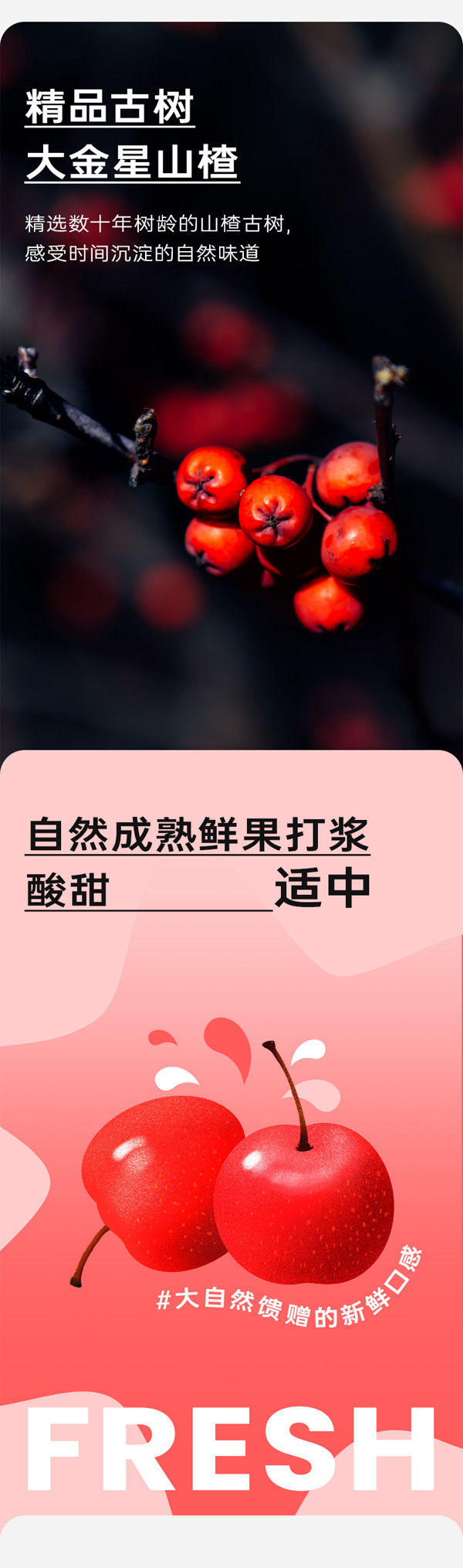 藍貝多多鮮果多多山楂條_02.jpg