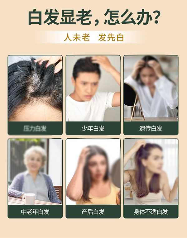 黃金搭檔黑芝麻核桃營(yíng)養(yǎng)粉詳情圖_02.jpg