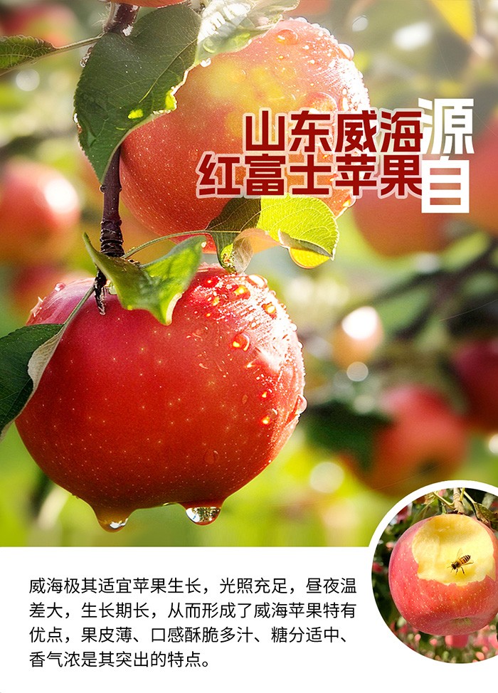 125ml-汪汪隊枇杷雪梨詳情頁_06.jpg