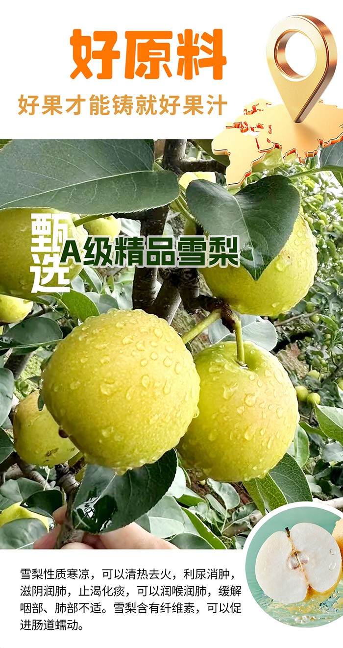 125ml-汪汪隊枇杷雪梨詳情頁_05.jpg